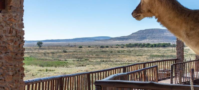 甘纳博斯宾馆(Gannabos Guest House)图片