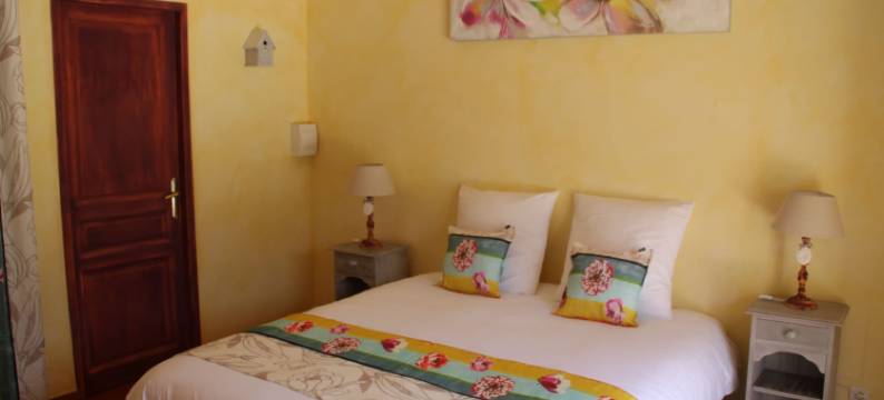 达尔亚德酒店(La Dryade)图片