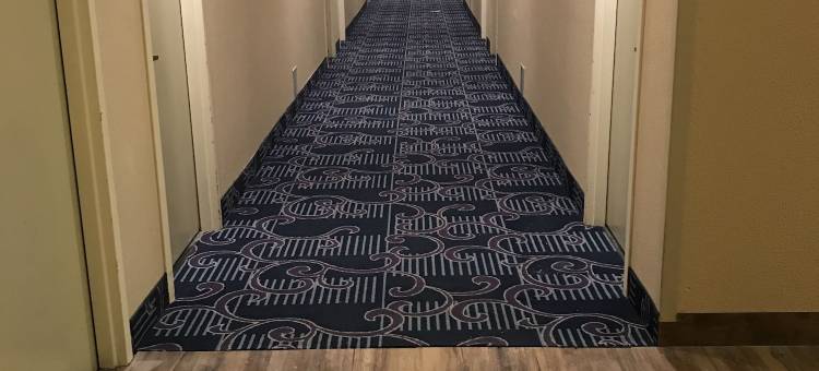 凯艺套房酒店(Quality Inn & Suites)图片