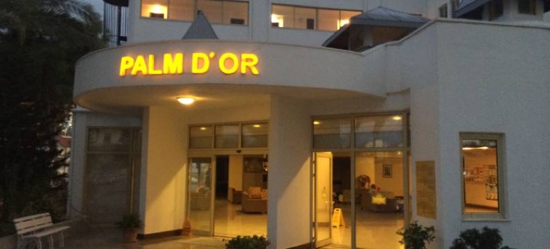 金棕榈酒店(Side Palm d'or Hotel)图片