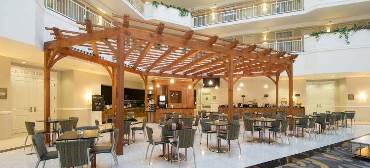 纽华克威尔明顿南希尔顿旗下大使套房酒店(Embassy Suites by Hilton Newark Wilmington South)图片