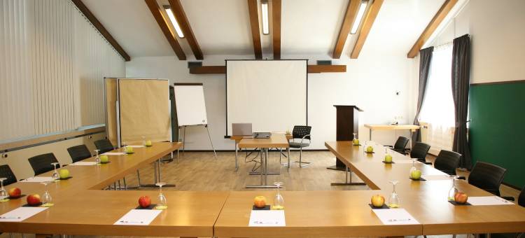 北斗星酒店(Hotel Pflug)图片