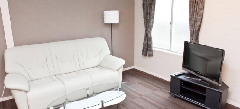 新大久保国际酒店(The Shin-Okubo International Hotel)图片