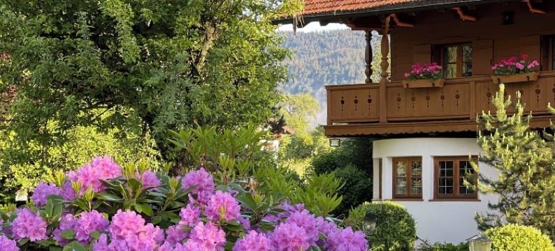 克里斯特尔希兰德豪斯酒店(Landhaus Christl am See)图片