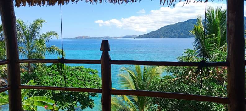 提基孔巴(Tiki Komba)图片