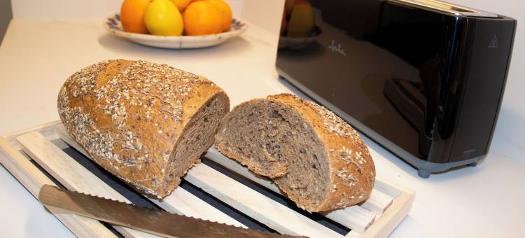 里贝拉门套房(Puerta de la Ribera Suites)图片