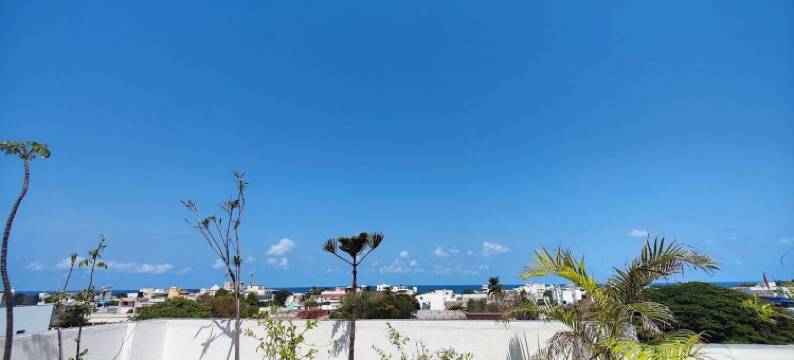 法国精英别墅(The French Villa Elite)图片