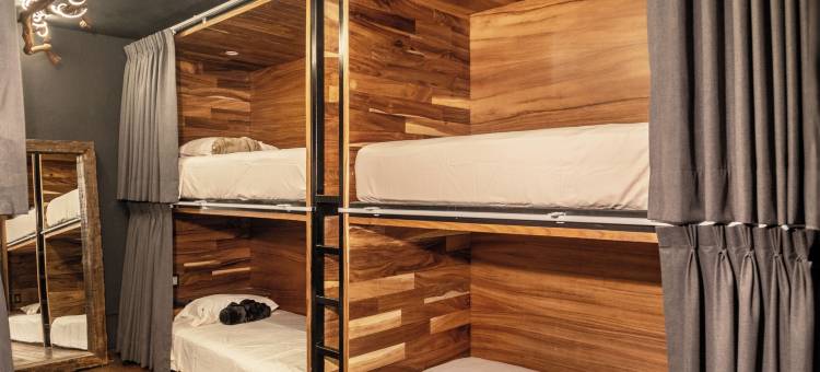 加利福尼亚塔拉克帕克旅馆(Homestal California Hostal en Tlaquepaque)图片