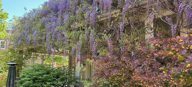 诺尔福克旅馆(Norfolk Guest House Inn)图片