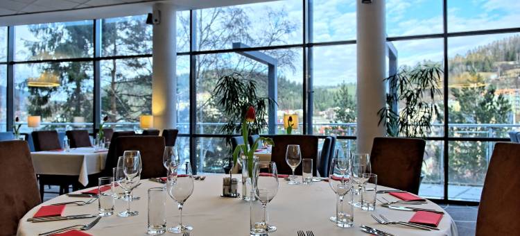 克雷尼察会议＆SPA酒店(Hotel Krynica Conference & SPA)图片