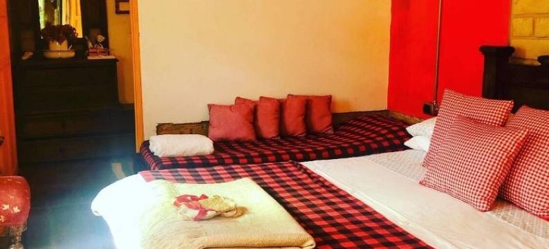 我家就是你家旅馆(Mi Casa es tu Casa Inn)图片