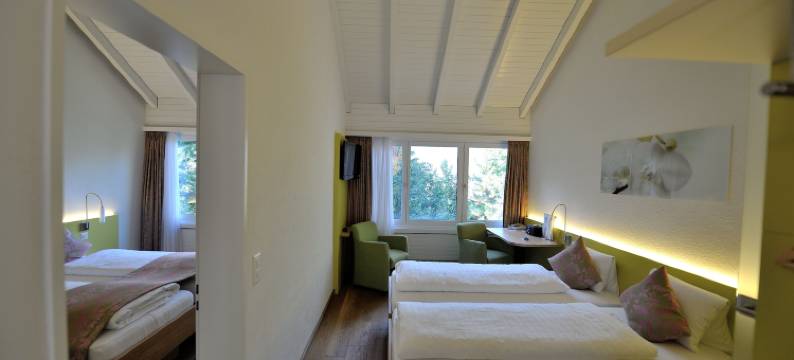 索美罗酒店(Hotel Sommerau)图片