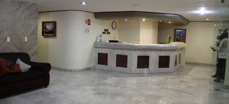 特瓦坎广场酒店(Hotel Tehuacan Plaza)图片
