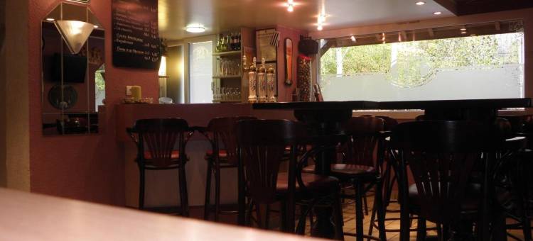 罗基斯巴格特尔酒店- 51530 迪斯(Logis Prim'Hôtel Bagatelle)图片