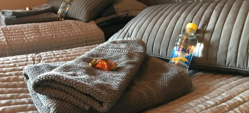 瓦拉旅馆(Vara Pensionat)图片