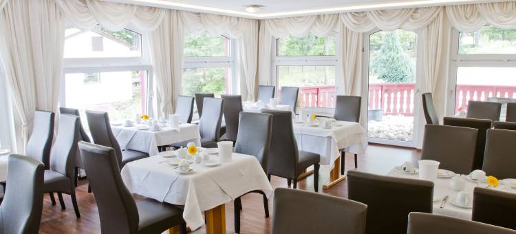 德国巴特哈尔茨雷吉欧酒店(Regiohotel Germania am Kurpark Bad Harzburg)图片