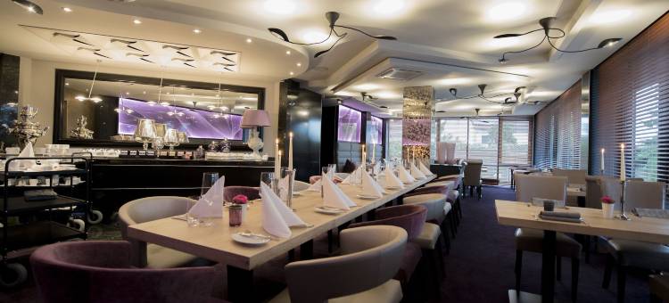 Atrium Hotel Mainz图片