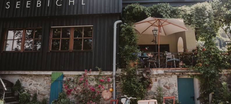 西比希尔餐厅酒店(Seebichl Haus am See Designhotel Kitzbühel)图片