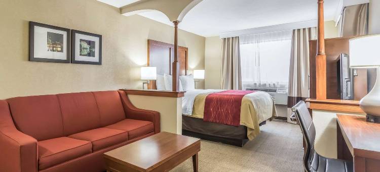 纳什维尔西舒适酒店(Comfort Inn Nashville West)图片