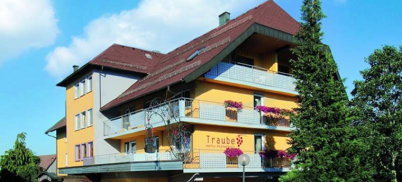 鲁斯堡图伯酒店(Hotel Traube Lossburg)图片