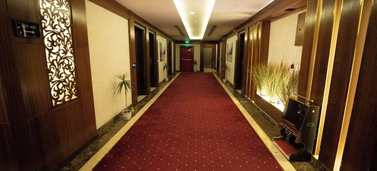 Towers Hotel Alqassim图片