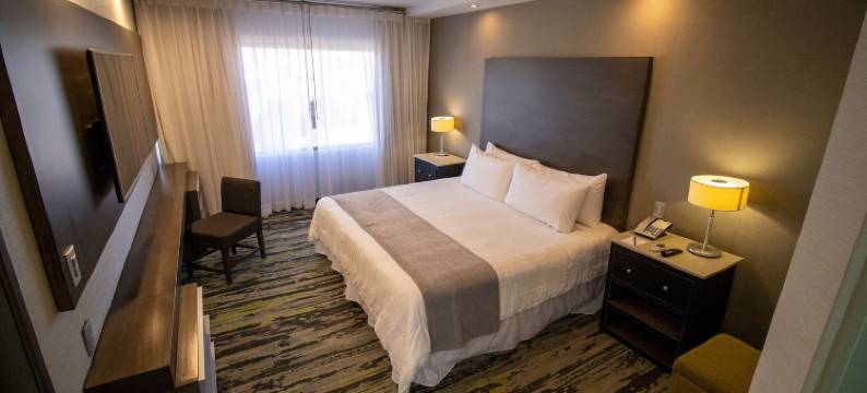 阿拉扎埃莫西约酒店(Hotel Araiza Hermosillo)图片