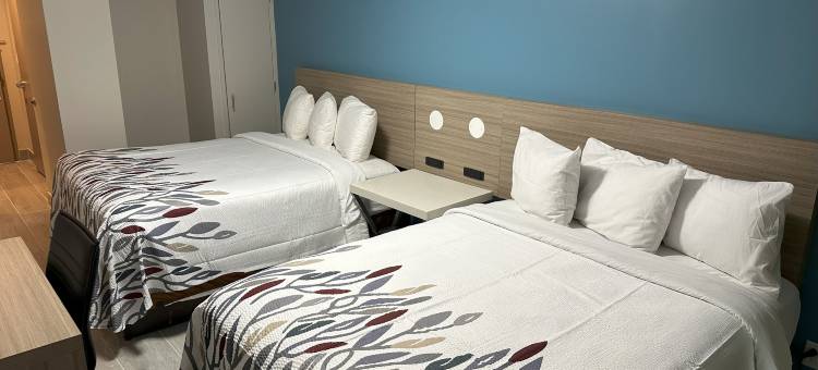 红屋顶PLUS+布鲁克林-弗拉特布什大道(Red Roof PLUS+ Brooklyn - Flatbush Ave)图片