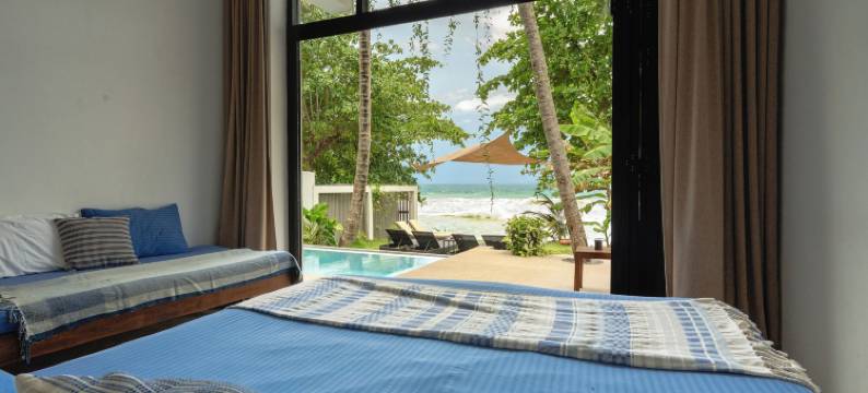 Parasol Doré = 金色阳伞(Parasol doré)图片