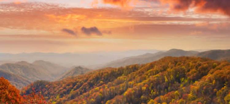 在烟雾腾腾的山中找到和平宁静与放松(Woods Child Cabin by Beyond Expectation W Hot Tub)图片