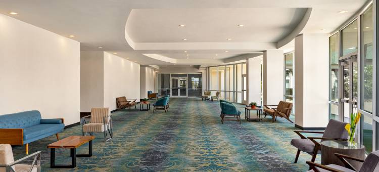 南帕诸岛希尔顿花园酒店(Hilton Garden Inn South Padre Island Beachfront)图片