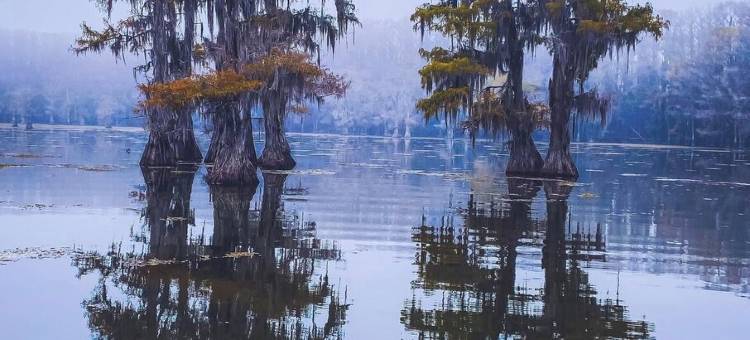 NEW WATER FRONT cabin on North Caddo Lake- private boat launch, dock, much more!图片