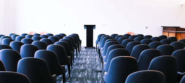 拉斯维加斯奥托诺姆斯酒店(Otonomus Hotel Las Vegas)图片