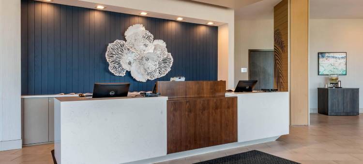 圣彼得堡-马德拉海滩码头坎布里亚酒店(Cambria Hotel St Petersburg-Madeira Beach Marina)图片