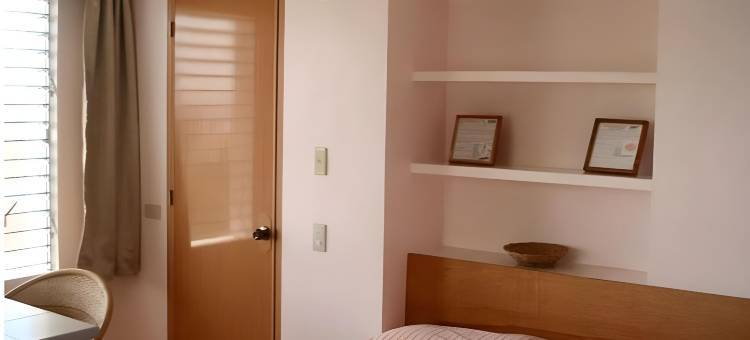 高台阶别墅(High Steps Pension)图片