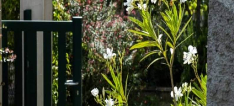 Houses & Villas for 8 People图片