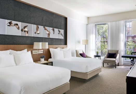 21C Museum Hotel Louisville Hotel Overview