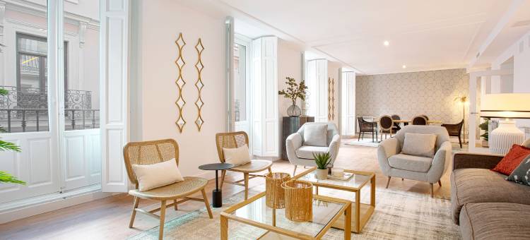 Extraordinary apartment in exclusive area of Madrid. Madrazo II图片