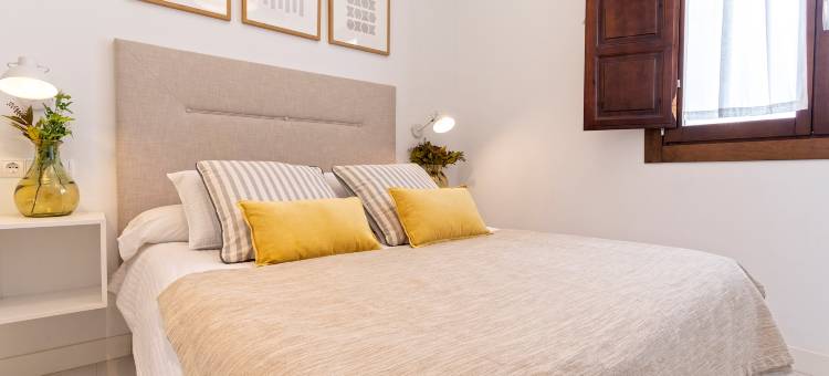 Beautiful one-bedroom apartment near the Cathedral. Zacatin 301图片