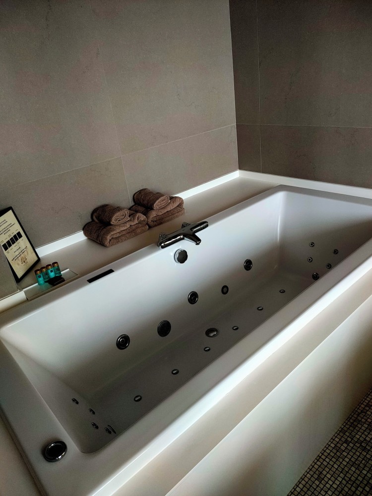 Hotel l'Arbre Voyageur Over view