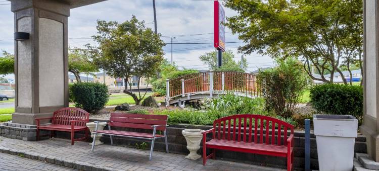 红屋顶PLUS+纽瓦克自由机场 - 卡特雷特(Red Roof Plus+ Newark Liberty Airport - Carteret)图片