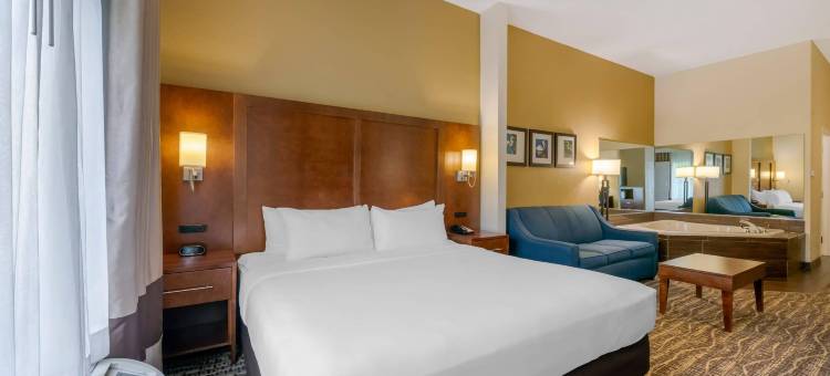 康福特套房-村庄酒店(Comfort Suites the Villages)图片