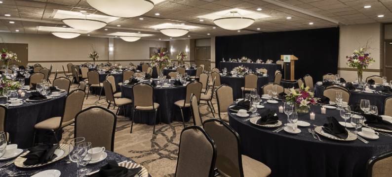 亚历山德里亚凯雷假日酒店(Holiday Inn ALEXANDRIA - CARLYLE by IHG)图片