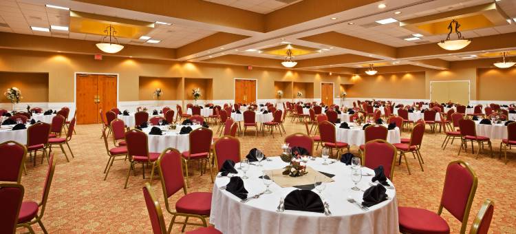 Holiday Inn 约翰逊城(Holiday Inn Johnson City)图片