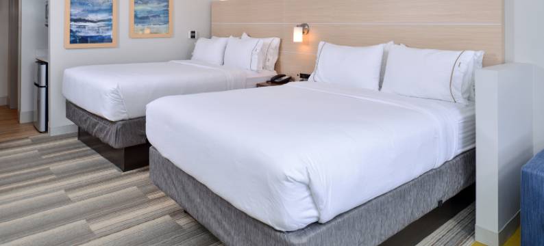 智选假日套房酒店-底特律法明顿山(Holiday Inn Express & Suites FARMINGTON HILLS - DETROIT by IHG)图片