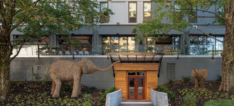 查塔努加市中心英迪格酒店(Hotel Indigo Chattanooga - Downtown)图片