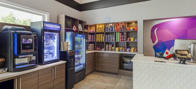 Best Western Plus West Edmonton图片