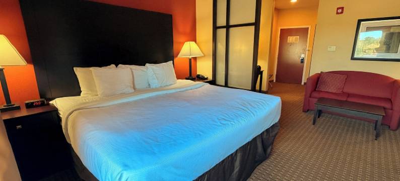 舒适套房酒店-黄金群岛(Comfort Suites Golden Isles Gateway)图片