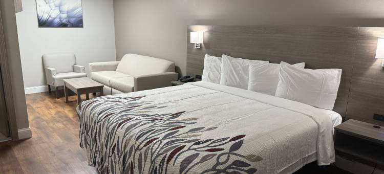 红屋顶旅馆及套房斯旺西(Red Roof Inn & Suites Swansea)图片