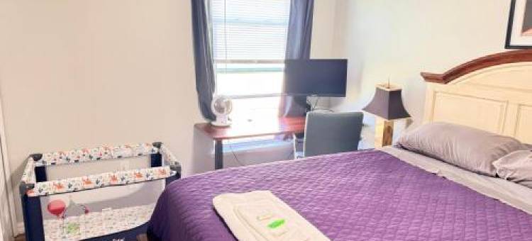 Near Disney Cozy Quiet Place Can Stay up to 4 People图片