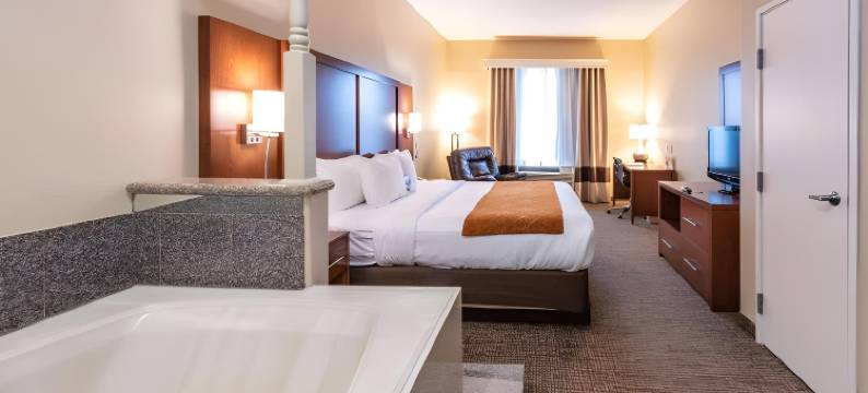 舒适套房酒店-近德克萨斯医学中心NRG体育场(Comfort Suites Near Texas Medical Center - NRG Stadium)图片